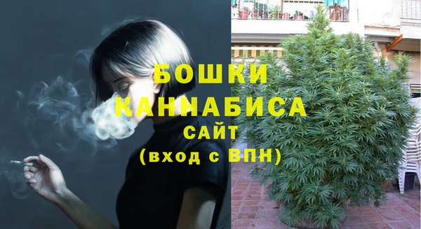 гидра Бронницы