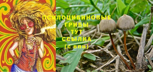 гидра Бронницы