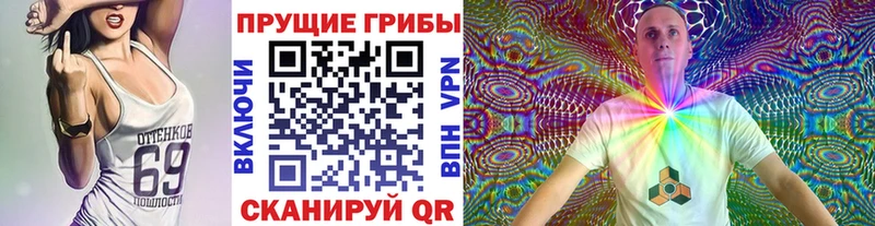 Купить закладки  Малоярославец  Галлюциногенные грибы Psilocybine cubensis 